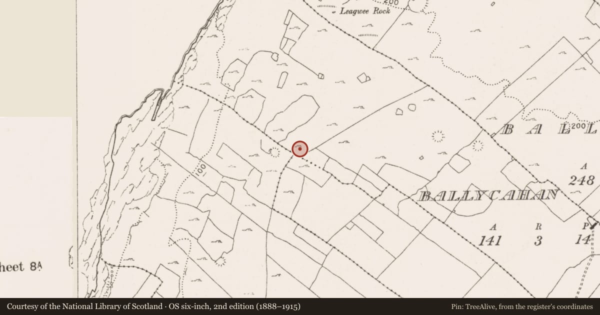 Ordnance Survey six-inch map, 2nd edition (1888–1915) covering the location of Enclosure, Ballycahan, County Clare, with a pin at the register's coordinates