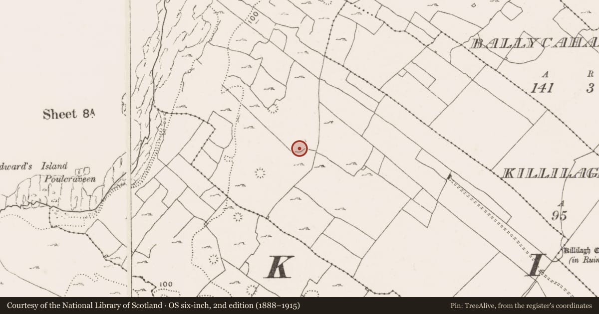 Ordnance Survey six-inch map, 2nd edition (1888–1915) covering the location of Ringfort - cashel, Teergonean, County Clare, with a pin at the register's coordinates