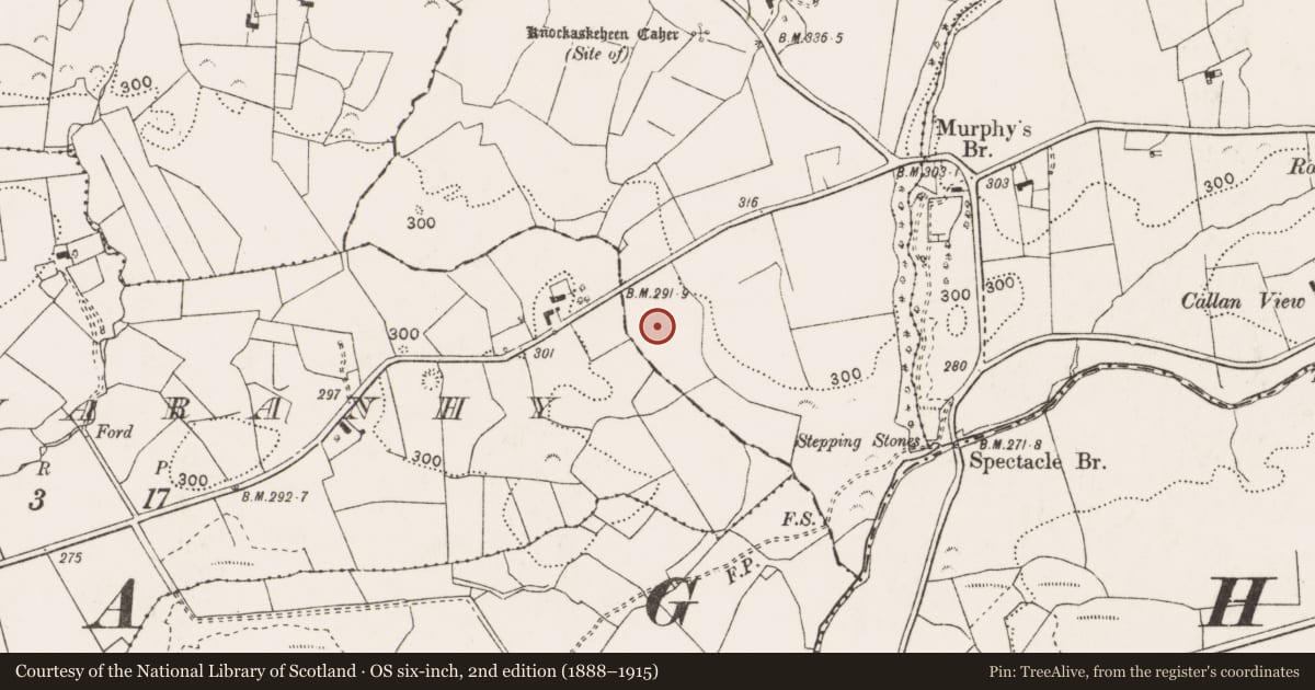 Ordnance Survey six-inch map, 2nd edition (1888–1915) covering the location of Burnt mound, Knockaskeheen, County Clare, with a pin at the register's coordinates