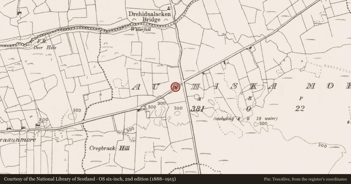 Ordnance Survey six-inch map, 2nd edition (1888–1915) covering the location of Fulacht fia, Aughiska More, County Clare, with a pin at the register's coordinates