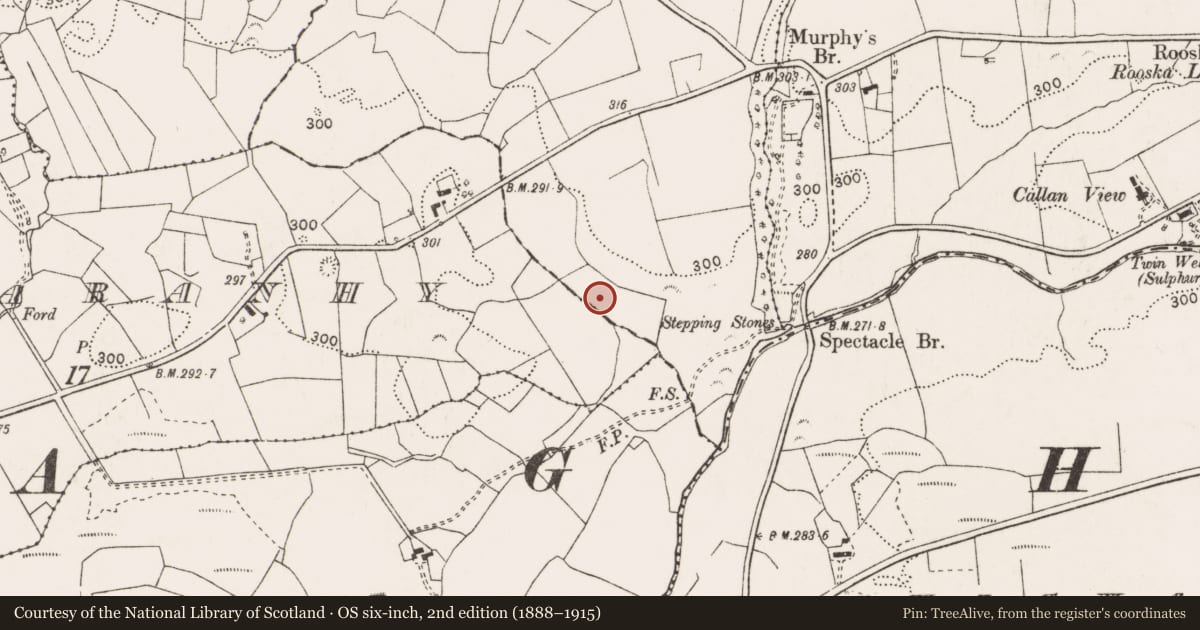 Ordnance Survey six-inch map, 2nd edition (1888–1915) covering the location of Burnt mound, Knockaskeheen, County Clare, with a pin at the register's coordinates