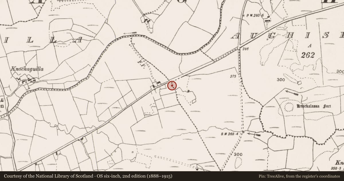 Ordnance Survey six-inch map, 2nd edition (1888–1915) covering the location of Barrow - ring-barrow, Aughiska More, County Clare, with a pin at the register's coordinates