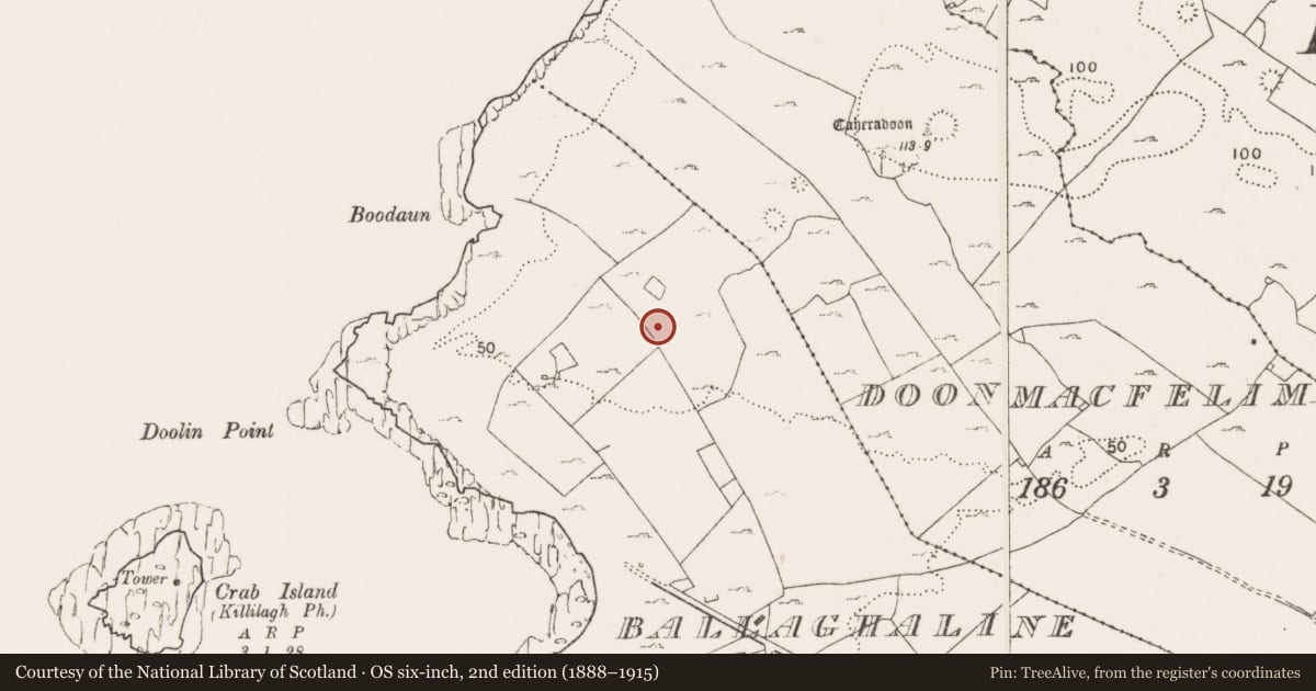 Ordnance Survey six-inch map, 2nd edition (1888–1915) covering the location of Enclosure, Ballaghaline, County Clare, with a pin at the register's coordinates