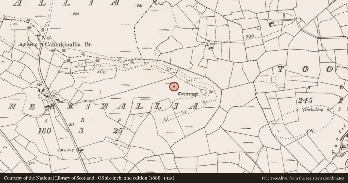 Ordnance Survey six-inch map, 2nd edition (1888–1915) covering the location of Enclosure, Caherkinallia, County Clare, with a pin at the register's coordinates