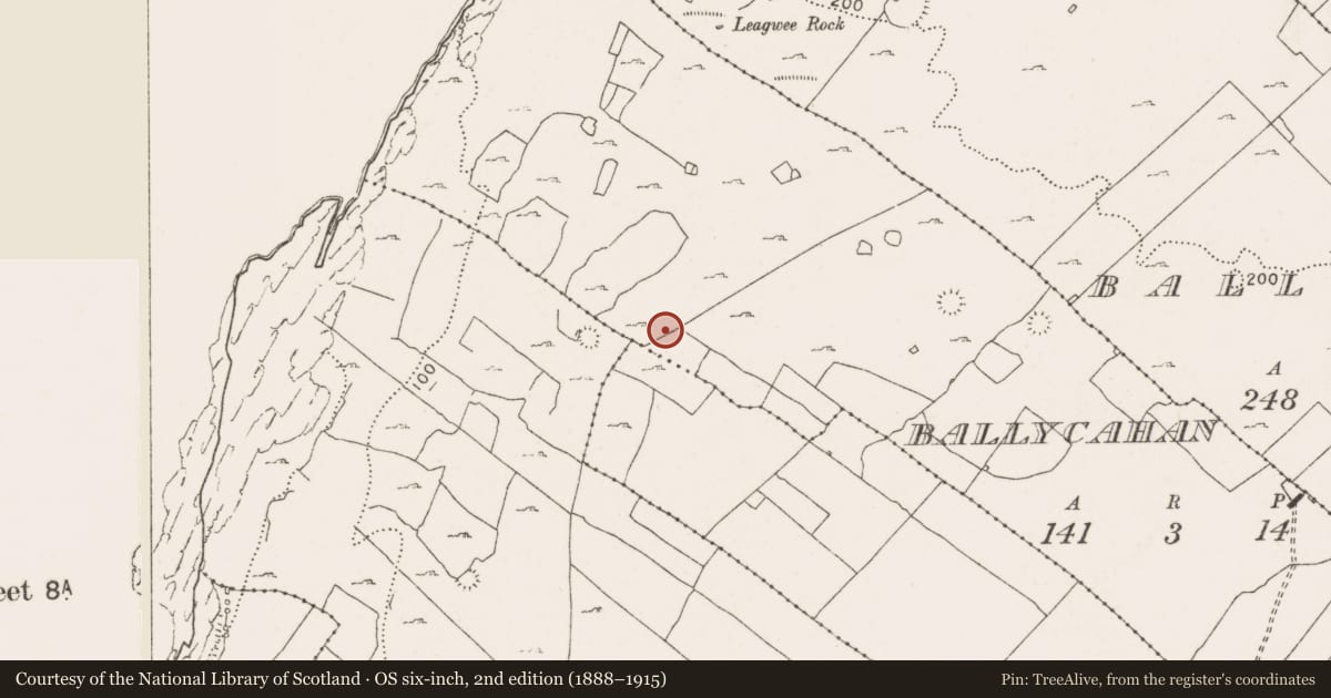 Ordnance Survey six-inch map, 2nd edition (1888–1915) covering the location of Ringfort - cashel, Ballycahan, County Clare, with a pin at the register's coordinates