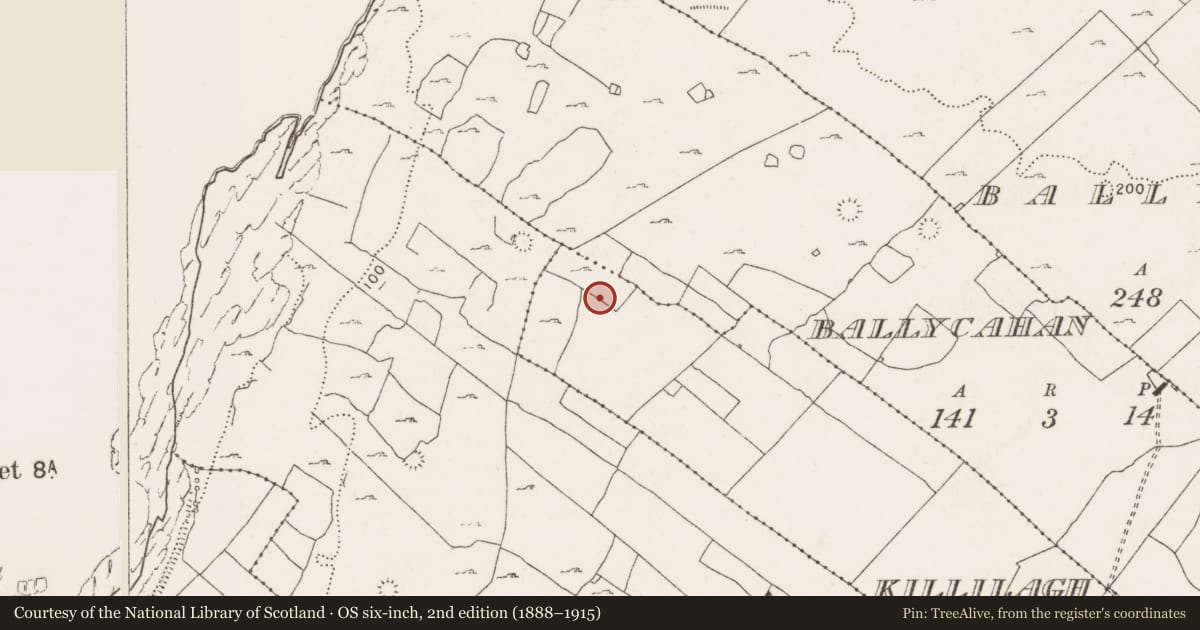 Ordnance Survey six-inch map, 2nd edition (1888–1915) covering the location of Enclosure, Killilagh, County Clare, with a pin at the register's coordinates
