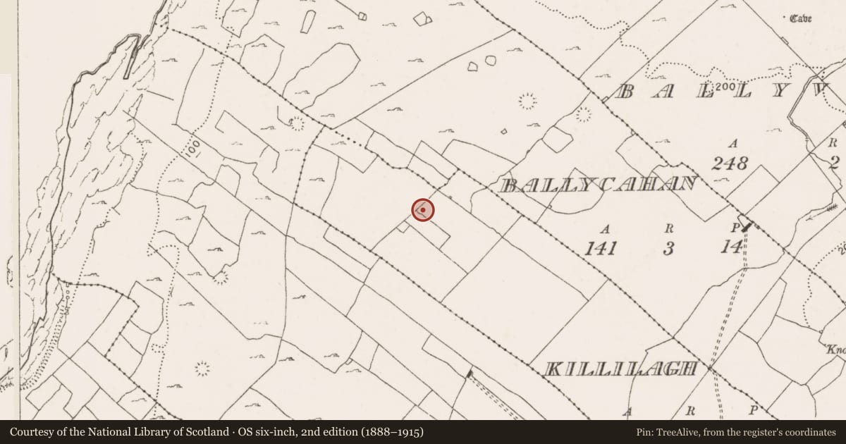 Ordnance Survey six-inch map, 2nd edition (1888–1915) covering the location of Ringfort - cashel, Killilagh, County Clare, with a pin at the register's coordinates