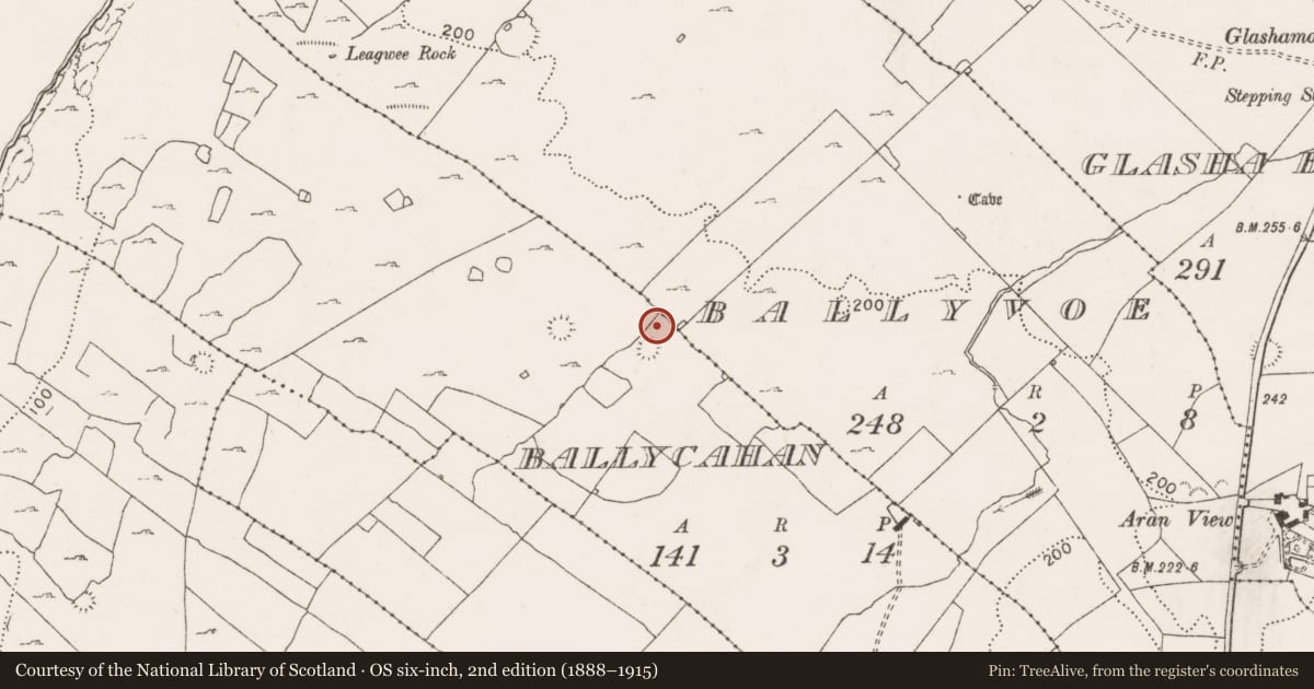 Ordnance Survey six-inch map, 2nd edition (1888–1915) covering the location of Structure, Ballycahan, County Clare, with a pin at the register's coordinates