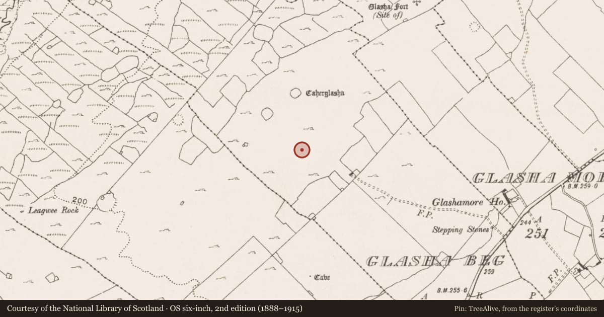 Ordnance Survey six-inch map, 2nd edition (1888–1915) covering the location of House - indeterminate date, Glasha Beg, County Clare, with a pin at the register's coordinates