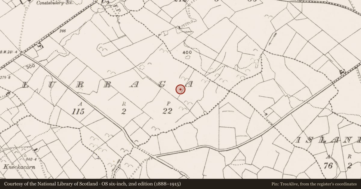 Ordnance Survey six-inch map, 2nd edition (1888–1915) covering the location of Enclosure, Lurraga, County Clare, with a pin at the register's coordinates