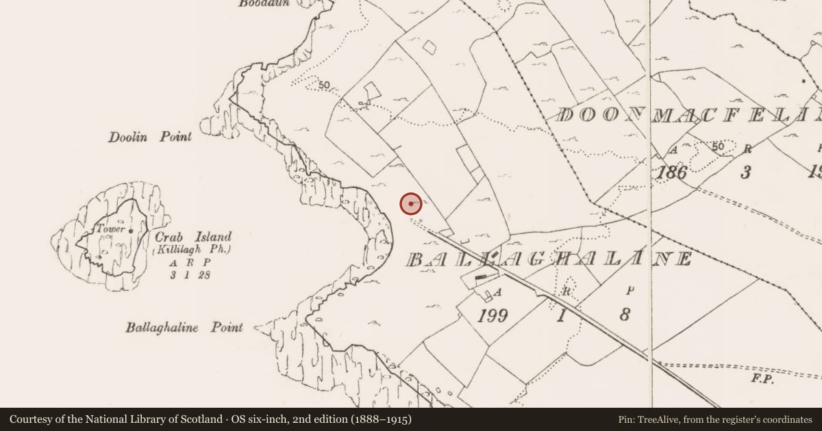 Ordnance Survey six-inch map, 2nd edition (1888–1915) covering the location of Church, Ballaghaline, County Clare, with a pin at the register's coordinates