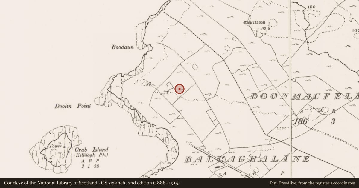 Ordnance Survey six-inch map, 2nd edition (1888–1915) covering the location of Enclosure, Ballaghaline, County Clare, with a pin at the register's coordinates