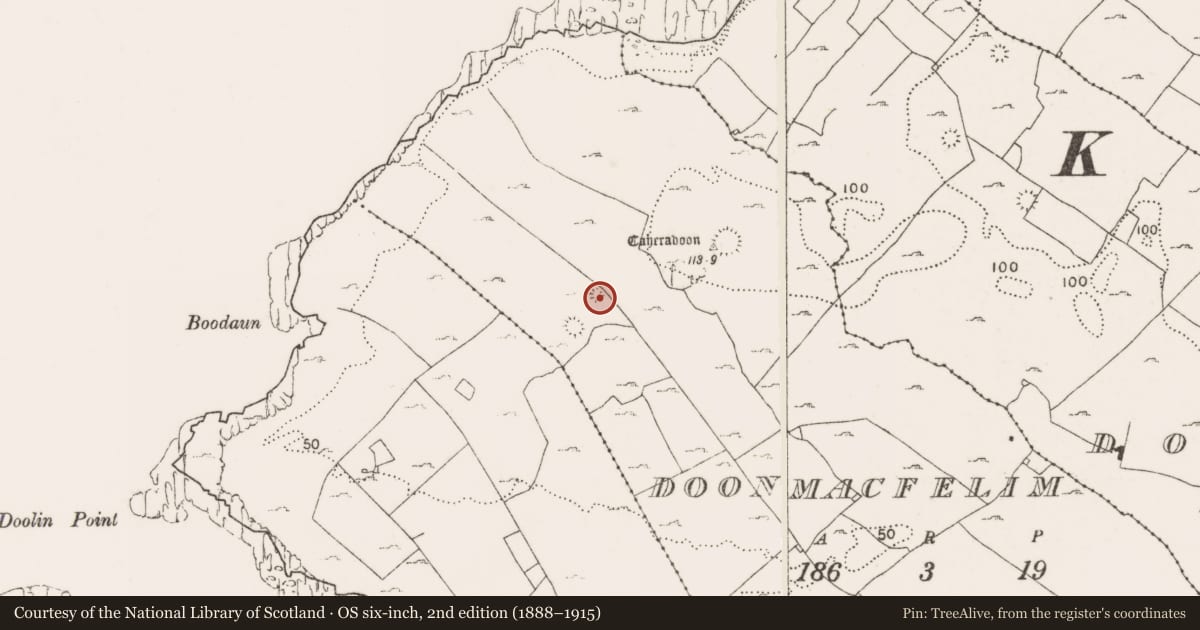 Ordnance Survey six-inch map, 2nd edition (1888–1915) covering the location of Ringfort - cashel, Doonmacfelim, County Clare, with a pin at the register's coordinates