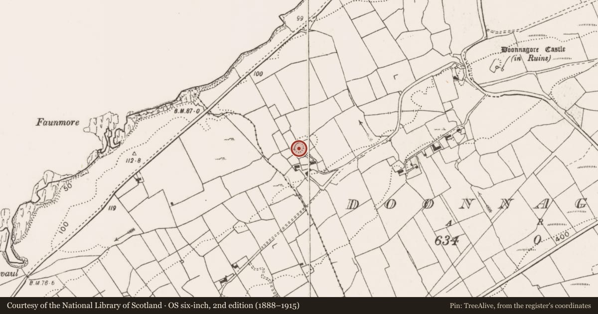 Ordnance Survey six-inch map, 2nd edition (1888–1915) covering the location of Ringfort - cashel, Doonnagore, County Clare, with a pin at the register's coordinates