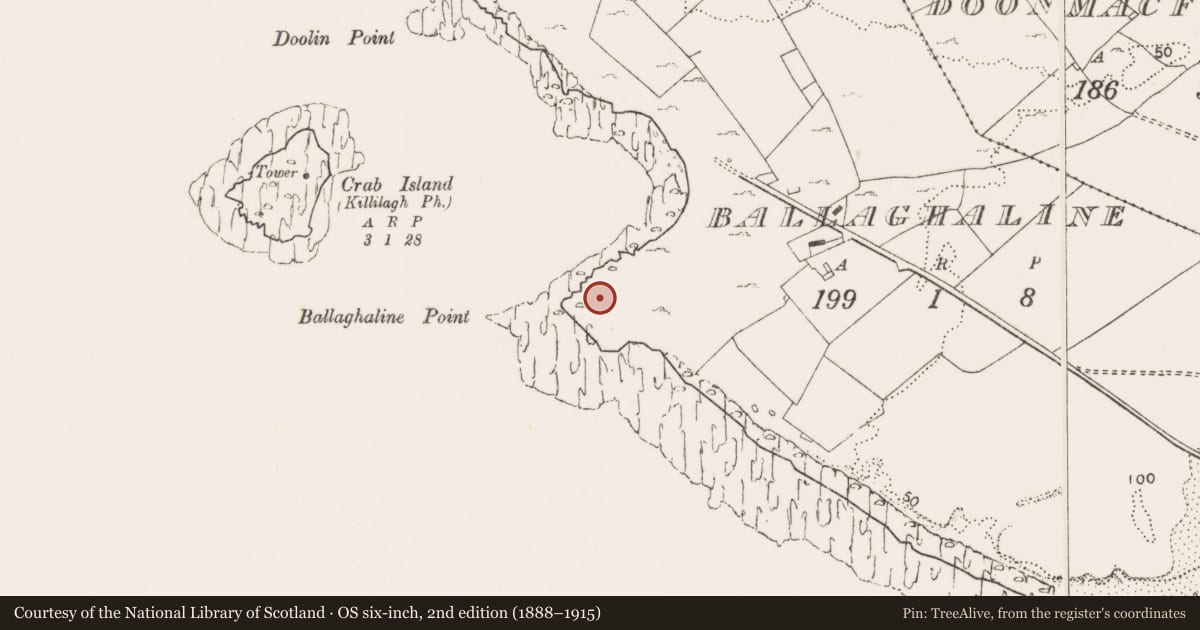 Ordnance Survey six-inch map, 2nd edition (1888–1915) covering the location of Midden, Ballaghaline, County Clare, with a pin at the register's coordinates
