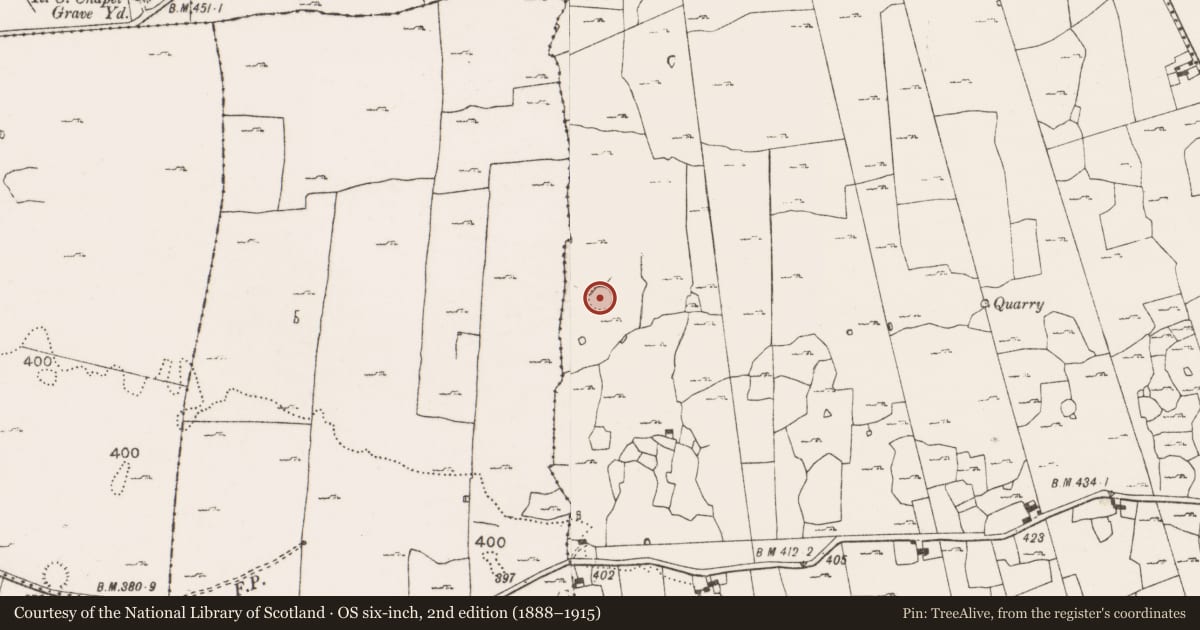 Ordnance Survey six-inch map, 2nd edition (1888–1915) covering the location of Ringfort - cashel, Ballyconnoe South, County Clare, with a pin at the register's coordinates
