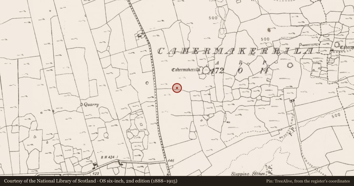 Ordnance Survey six-inch map, 2nd edition (1888–1915) covering the location of Hut site, Cahermakerrila, County Clare, with a pin at the register's coordinates