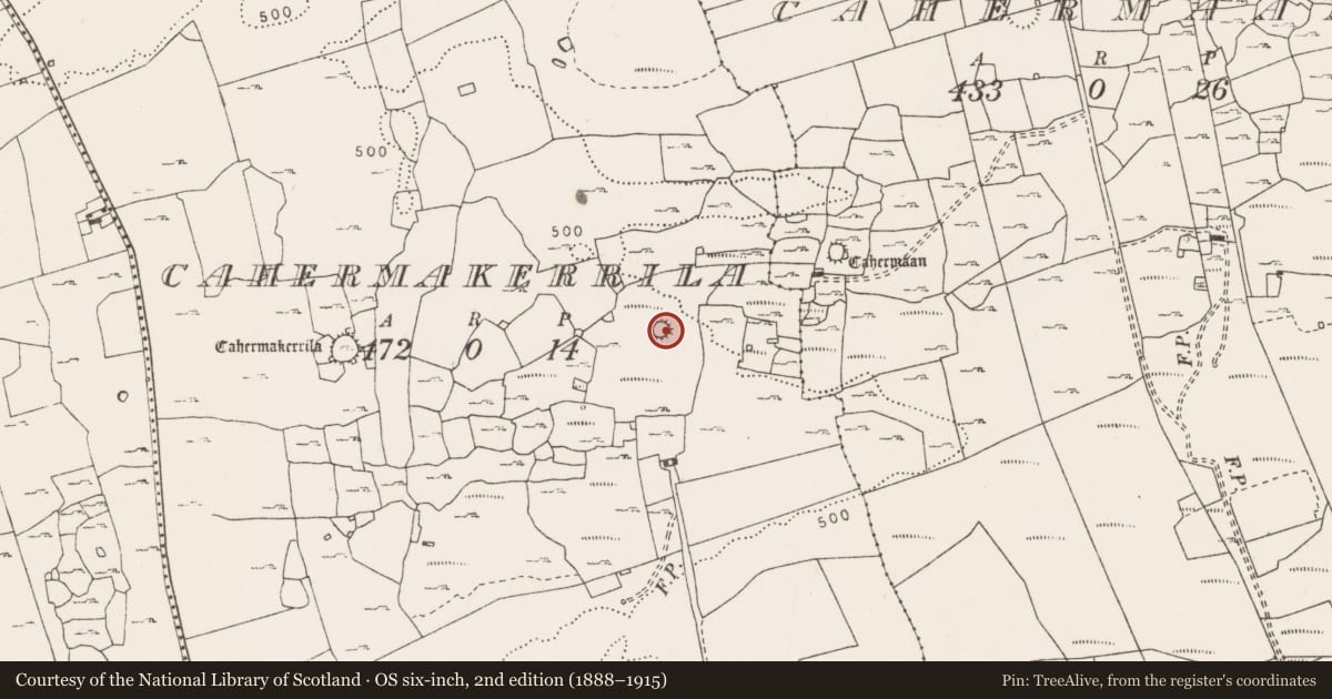 Ordnance Survey six-inch map, 2nd edition (1888–1915) covering the location of Ringfort - cashel, Cahermakerrila, County Clare, with a pin at the register's coordinates