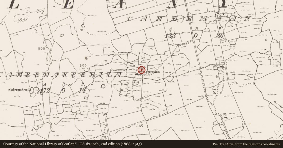 Ordnance Survey six-inch map, 2nd edition (1888–1915) covering the location of Ringfort - cashel, Cahermaan, County Clare, with a pin at the register's coordinates