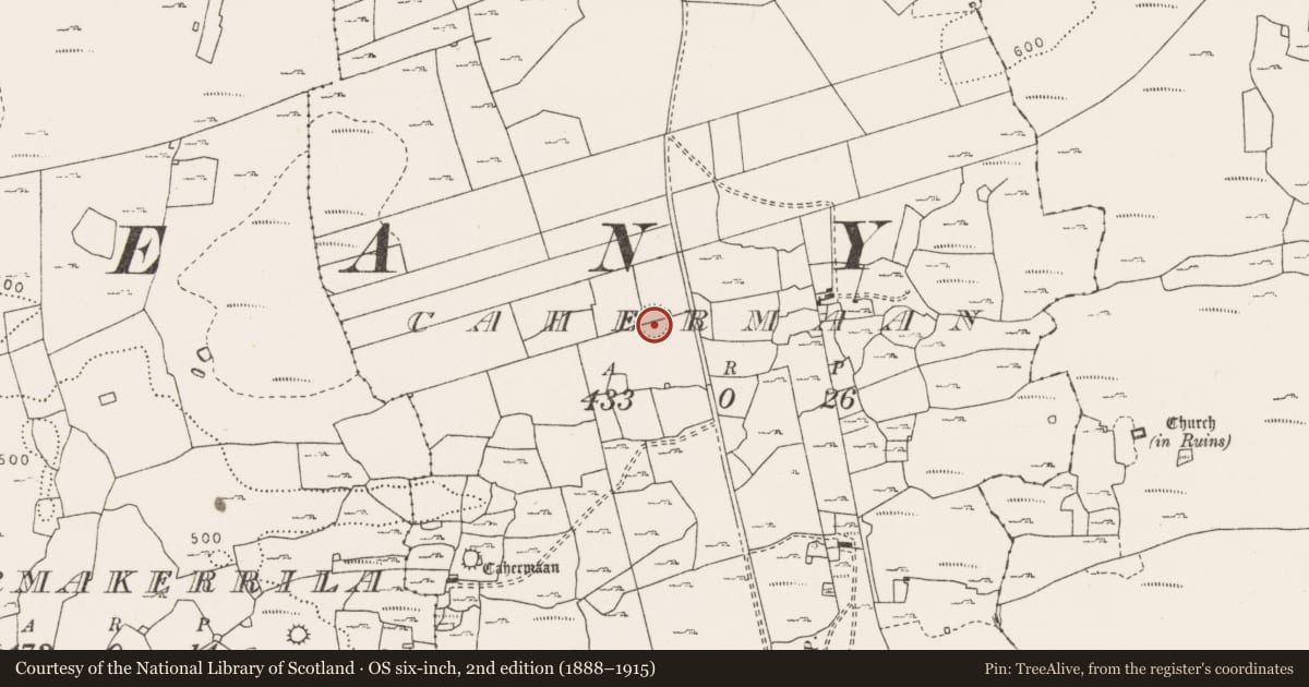 Ordnance Survey six-inch map, 2nd edition (1888–1915) covering the location of Ringfort - cashel, Cahermaan, County Clare, with a pin at the register's coordinates