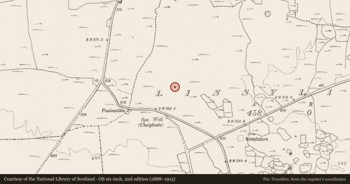 Ordnance Survey six-inch map, 2nd edition (1888–1915) covering the location of Enclosure, Lissylisheen, County Clare, with a pin at the register's coordinates