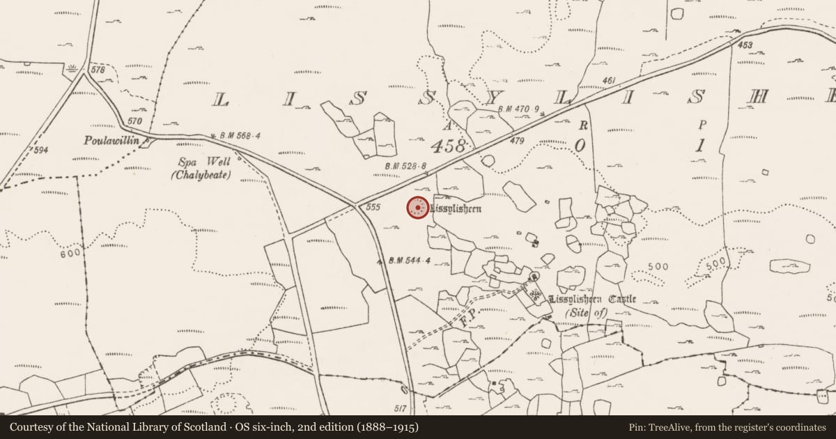 Ordnance Survey six-inch map, 2nd edition (1888–1915) covering the location of Ringfort - cashel, Lissylisheen, County Clare, with a pin at the register's coordinates