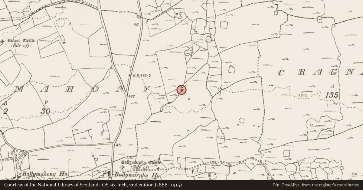 Ordnance Survey six-inch map, 2nd edition (1888–1915) covering the location of Ringfort - cashel, Ballymahony, Ballymurphy, County Clare, with a pin at the register's coordinates