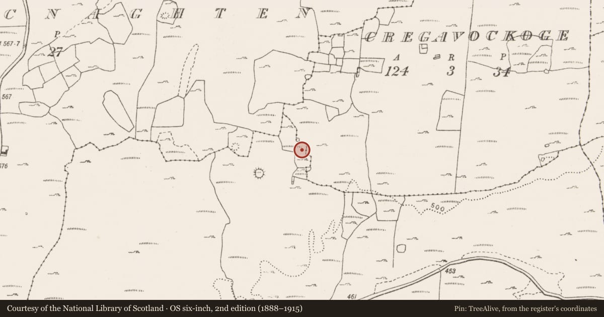 Ordnance Survey six-inch map, 2nd edition (1888–1915) covering the location of Ringfort - cashel, Cregavockoge, Lissylisheen, County Clare, with a pin at the register's coordinates