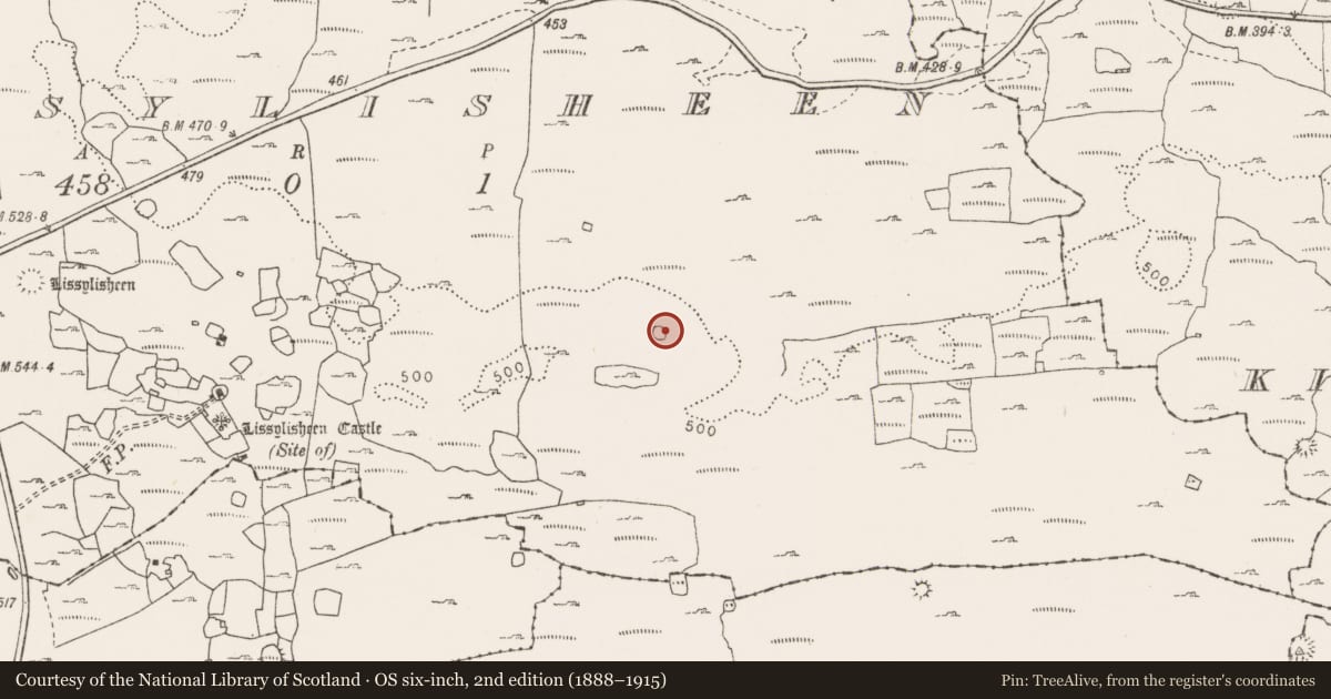 Ordnance Survey six-inch map, 2nd edition (1888–1915) covering the location of Ringfort - cashel, Lissylisheen, County Clare, with a pin at the register's coordinates