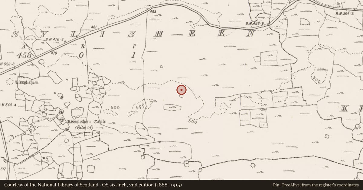 Ordnance Survey six-inch map, 2nd edition (1888–1915) covering the location of Megalithic tomb - wedge tomb, Lissylisheen, County Clare, with a pin at the register's coordinates