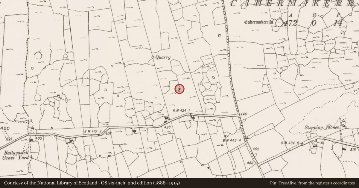 Ordnance Survey six-inch map, 2nd edition (1888–1915) covering the location of Ringfort - cashel, Ballyconnoe South, County Clare, with a pin at the register's coordinates