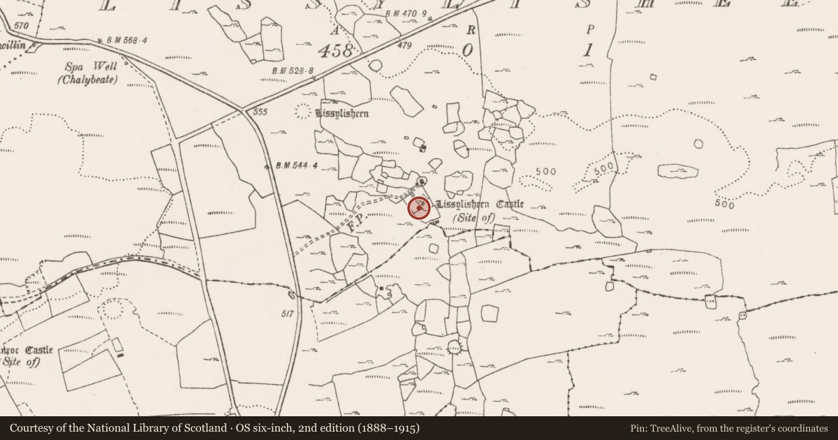 Ordnance Survey six-inch map, 2nd edition (1888–1915) covering the location of Bawn, Lissylisheen, County Clare, with a pin at the register's coordinates
