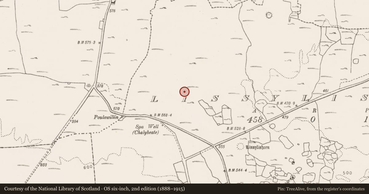 Ordnance Survey six-inch map, 2nd edition (1888–1915) covering the location of Enclosure, Lissylisheen, County Clare, with a pin at the register's coordinates
