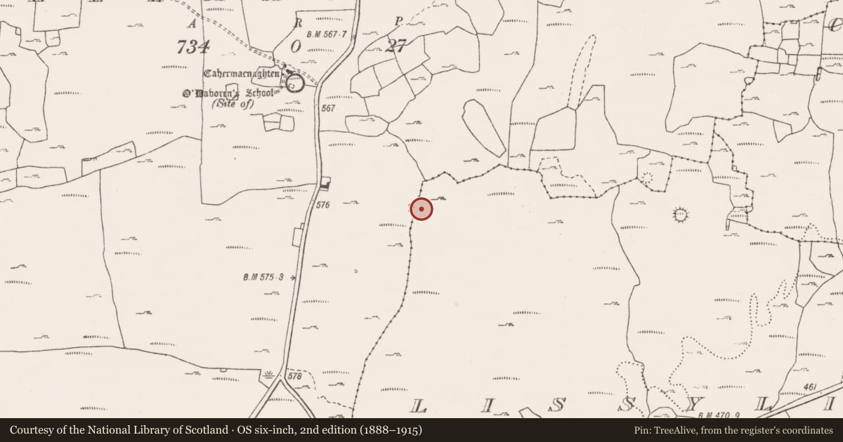 Ordnance Survey six-inch map, 2nd edition (1888–1915) covering the location of Enclosure, Lissylisheen, County Clare, with a pin at the register's coordinates