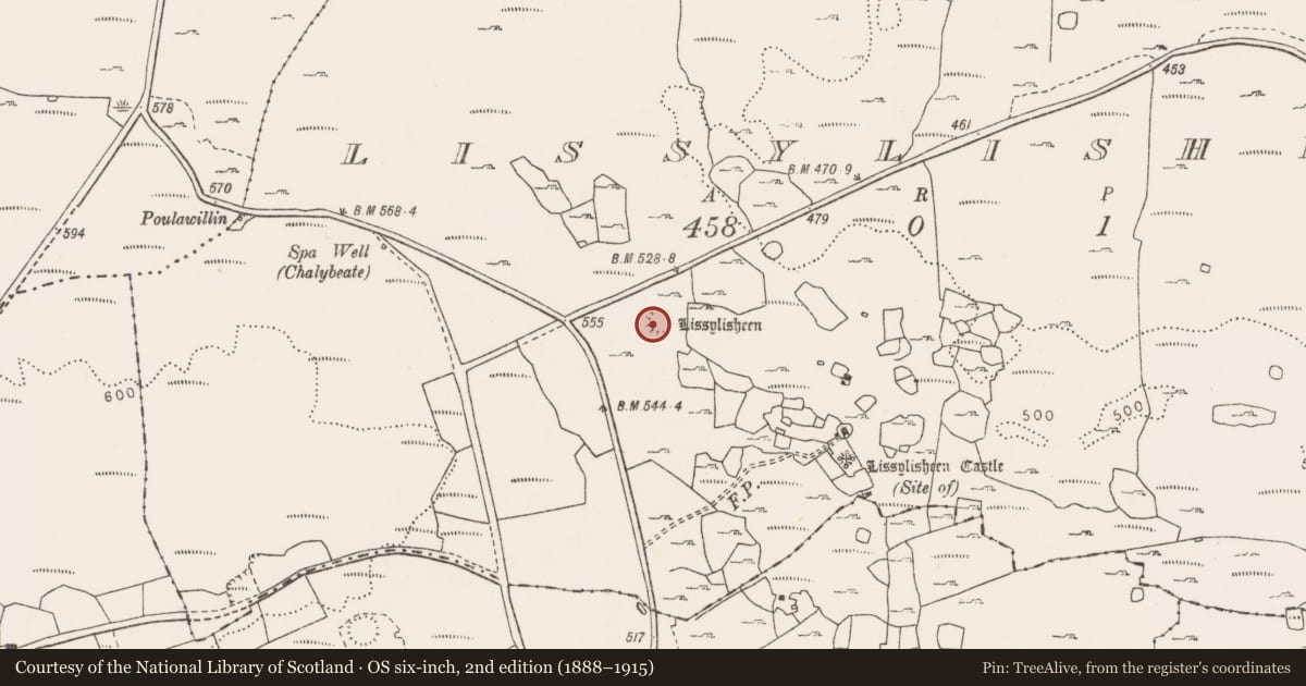Ordnance Survey six-inch map, 2nd edition (1888–1915) covering the location of House - indeterminate date, Lissylisheen, County Clare, with a pin at the register's coordinates