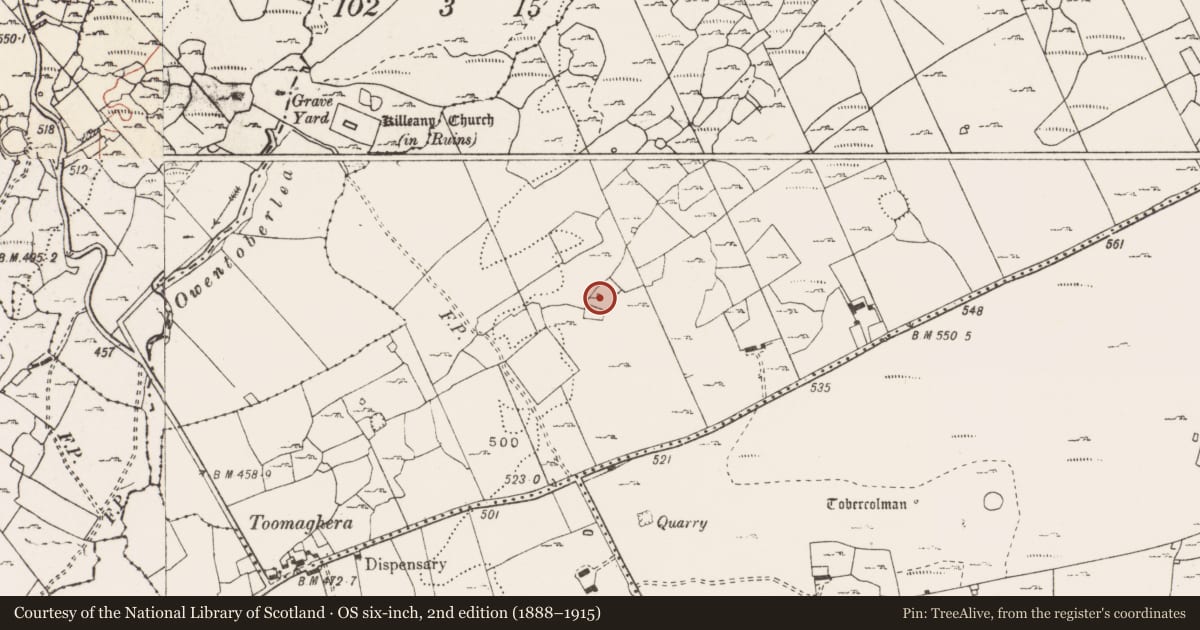Ordnance Survey six-inch map, 2nd edition (1888–1915) covering the location of House - indeterminate date, Ballyconnoe North, County Clare, with a pin at the register's coordinates