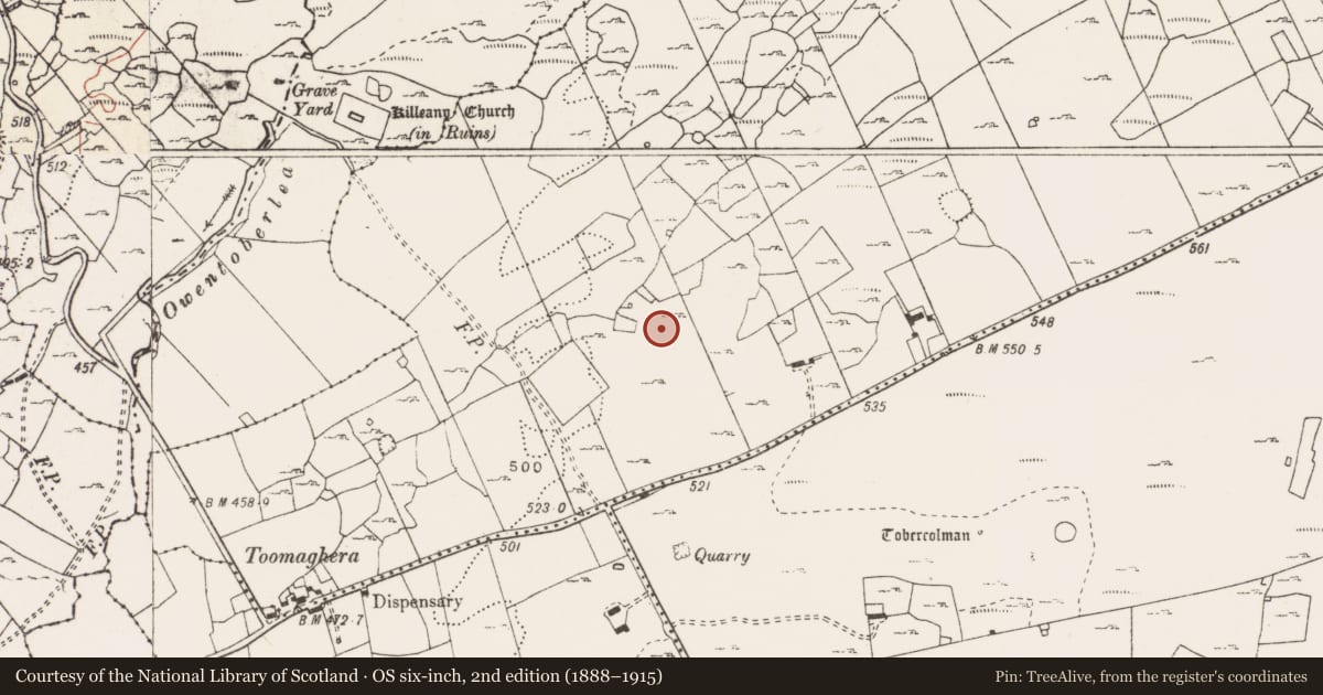 Ordnance Survey six-inch map, 2nd edition (1888–1915) covering the location of House - indeterminate date, Ballyconnoe North, County Clare, with a pin at the register's coordinates