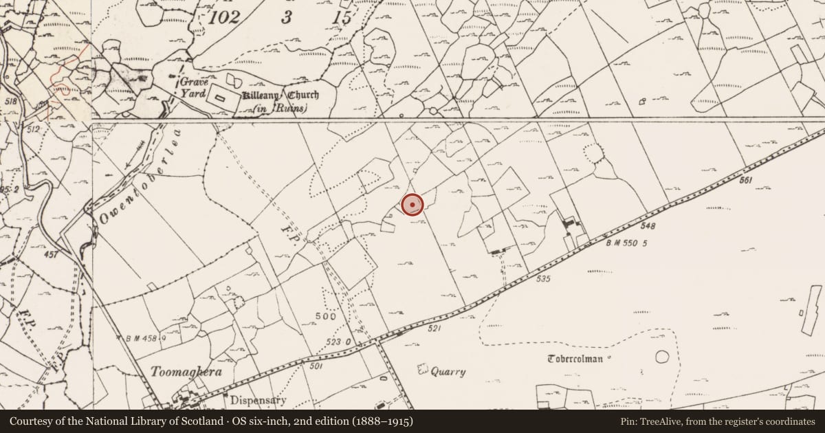 Ordnance Survey six-inch map, 2nd edition (1888–1915) covering the location of House - indeterminate date, Ballyconnoe North, County Clare, with a pin at the register's coordinates