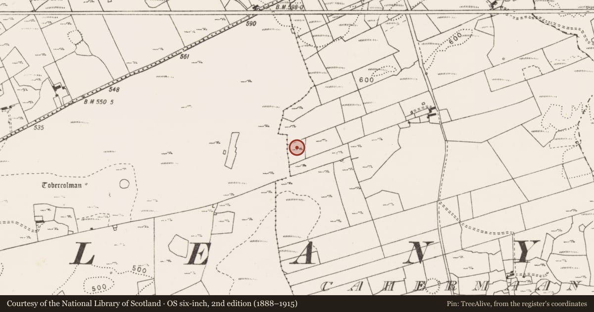 Ordnance Survey six-inch map, 2nd edition (1888–1915) covering the location of Structure, Cahermaan, County Clare, with a pin at the register's coordinates