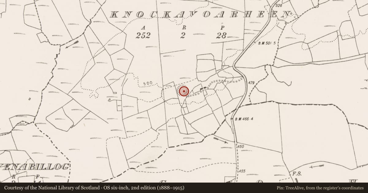 Ordnance Survey six-inch map, 2nd edition (1888–1915) covering the location of Ringfort - rath, Knockavoarheen, County Clare, with a pin at the register's coordinates