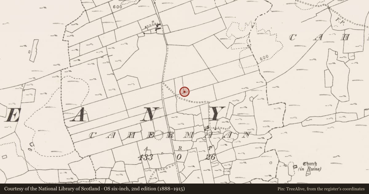 Ordnance Survey six-inch map, 2nd edition (1888–1915) covering the location of Enclosure, Cahermaan, County Clare, with a pin at the register's coordinates