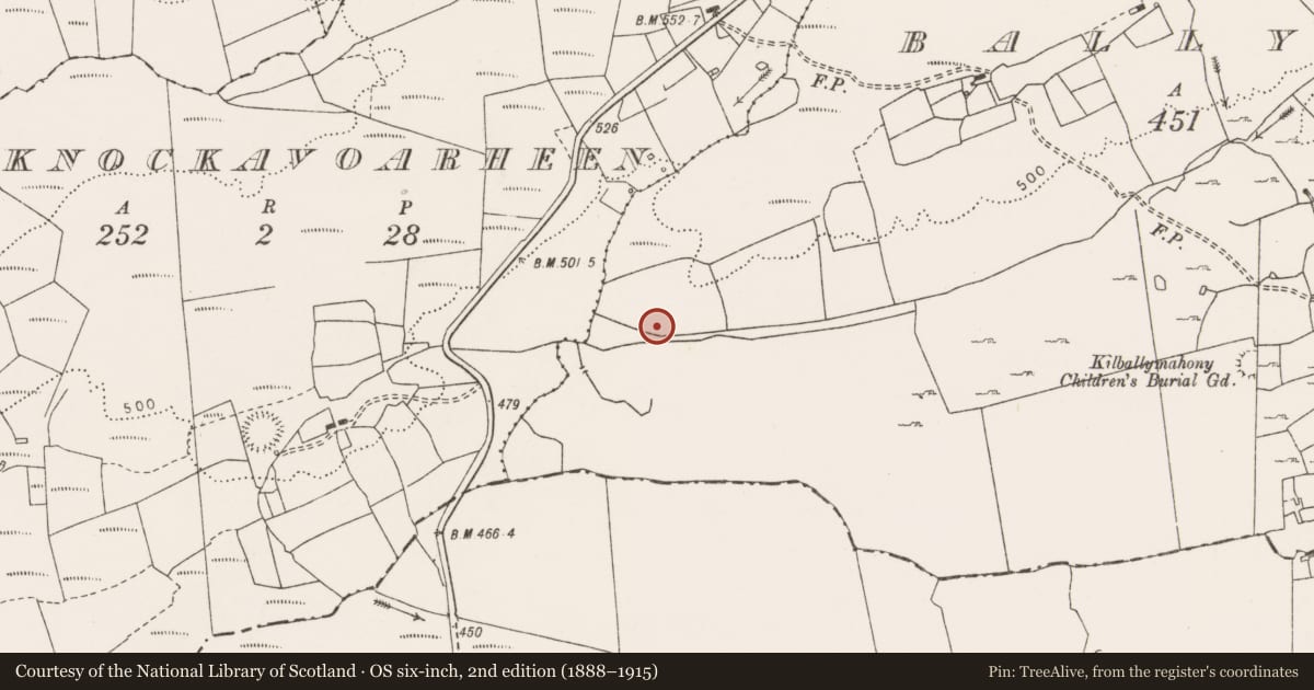 Ordnance Survey six-inch map, 2nd edition (1888–1915) covering the location of Barrow - ring-barrow, Ballymahony, County Clare, with a pin at the register's coordinates
