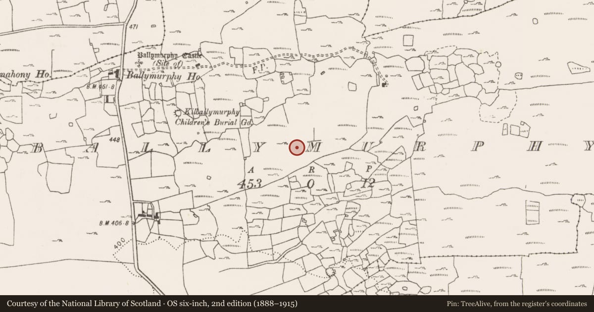 Ordnance Survey six-inch map, 2nd edition (1888–1915) covering the location of Field system, County Clare, with a pin at the register's coordinates