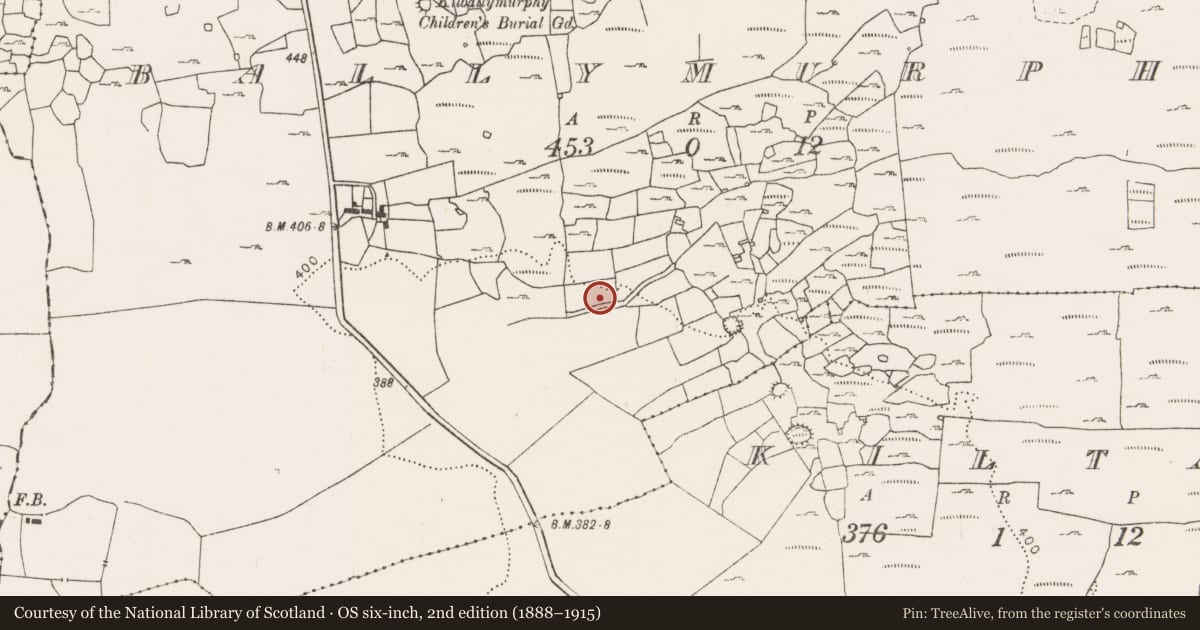 Ordnance Survey six-inch map, 2nd edition (1888–1915) covering the location of Megalithic tomb - wedge tomb, Ballymurphy, County Clare, with a pin at the register's coordinates
