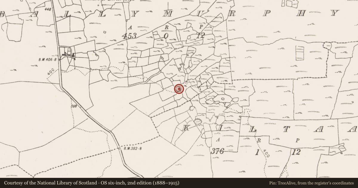 Ordnance Survey six-inch map, 2nd edition (1888–1915) covering the location of Ringfort - cashel, Ballymurphy, County Clare, with a pin at the register's coordinates