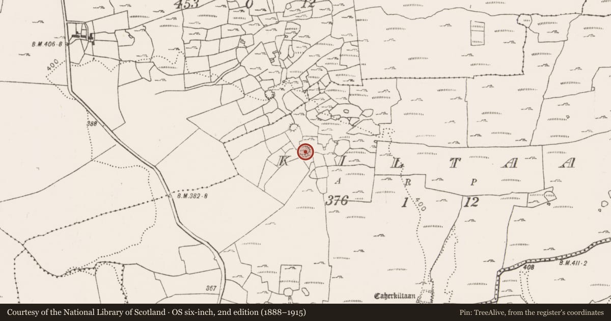 Ordnance Survey six-inch map, 2nd edition (1888–1915) covering the location of Ringfort - cashel, Kiltaan, County Clare, with a pin at the register's coordinates