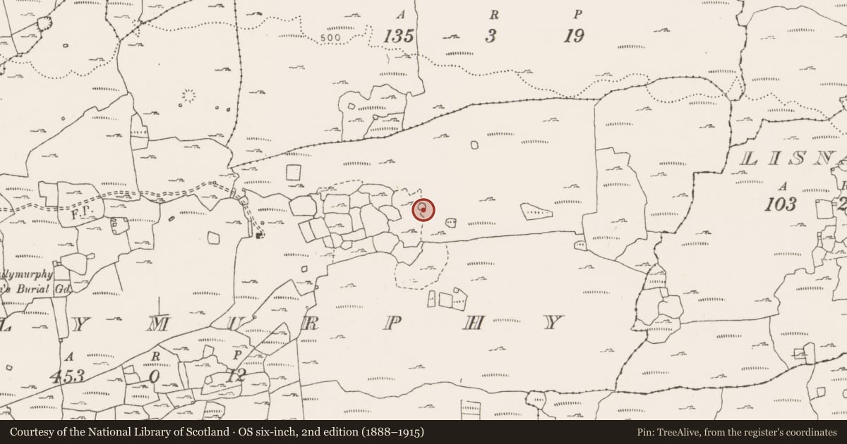 Ordnance Survey six-inch map, 2nd edition (1888–1915) covering the location of Enclosure, Ballymurphy, County Clare, with a pin at the register's coordinates