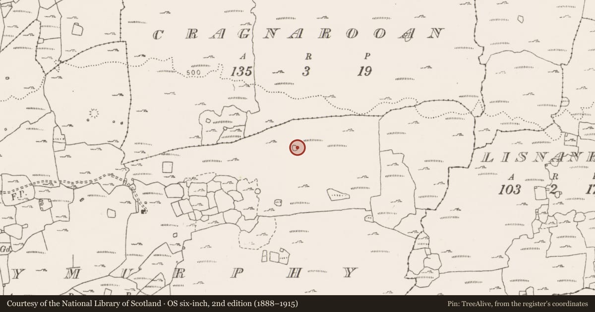 Ordnance Survey six-inch map, 2nd edition (1888–1915) covering the location of Ringfort - cashel, Ballymurphy, County Clare, with a pin at the register's coordinates