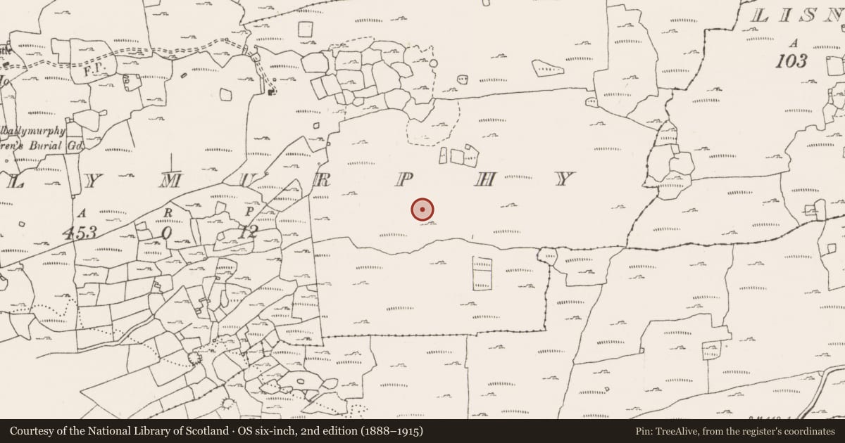 Ordnance Survey six-inch map, 2nd edition (1888–1915) covering the location of Ringfort - cashel, Ballymurphy, County Clare, with a pin at the register's coordinates
