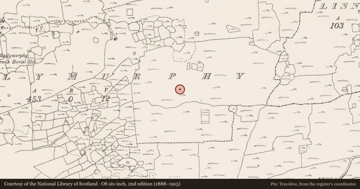 Ordnance Survey six-inch map, 2nd edition (1888–1915) covering the location of Hut site, Ballymurphy, County Clare, with a pin at the register's coordinates
